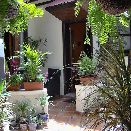 Apartamentos-monasterio-de-san-antonio-mediterranes-apartment-mit-kleiner-terrasse-im-innenhof شقة