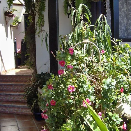 شقة Apartamentos-monasterio-de-san-antonio-mediterranes-apartment-mit-kleiner-terrasse-im-innenhof