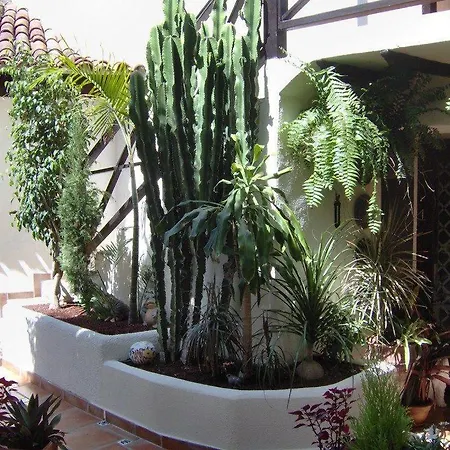 Apartamentos-monasterio-de-san-antonio-mediterranes-apartment-mit-kleiner-terrasse-im-innenhof شقة